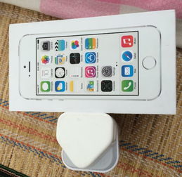 iPhone 5s原裝充電器與耳機(jī)交易指南 家電與數(shù)碼產(chǎn)品區(qū)選購(gòu)技巧